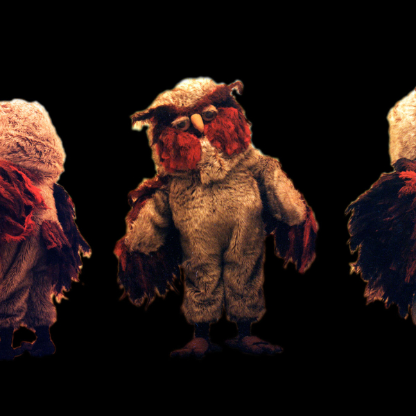 Vagia, The Owl