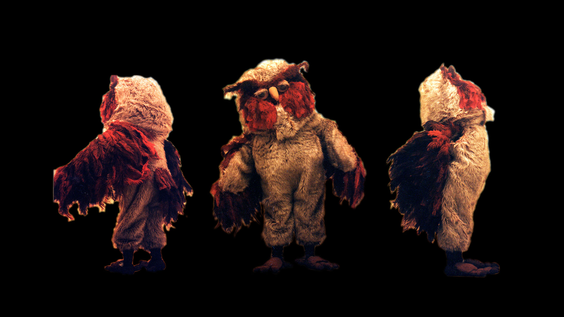 Vagia, The Owl