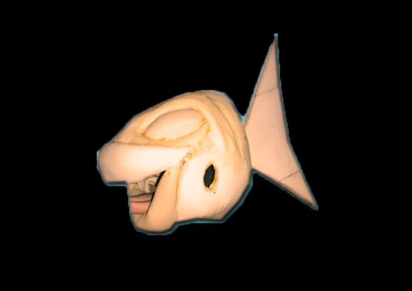 bublle-fish-mascot_05